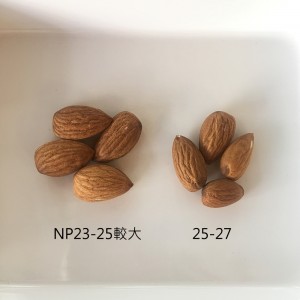 美國加州生杏仁果25-27 NP23-25 杏仁粒 烘焙用 600克 堅果 真空包裝