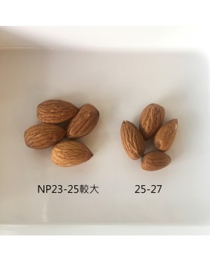 美國加州生杏仁果25-27 NP23-25 杏仁粒 烘焙用 600克 堅果 真空包裝
